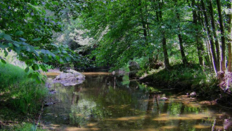 Министeрството на околната среда и водите обяви нова защитена територия в региона – защитена местност „Река Белица