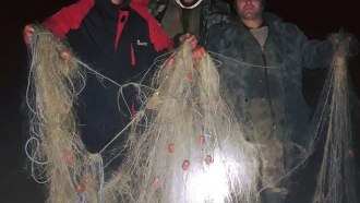 Доброволци унищожиха бракониерски мрежи в яз. Стамболийски
