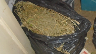 Килограм марихуана иззеха криминалисти в севлиевско село