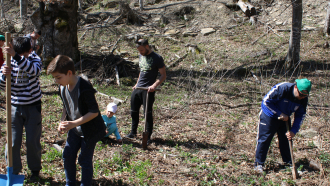 "Граждани за Севлиево" и приятели засадиха 100 фиданки