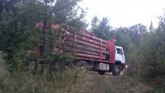 Претупан акт от общинари спаси горски нарушител от глоба