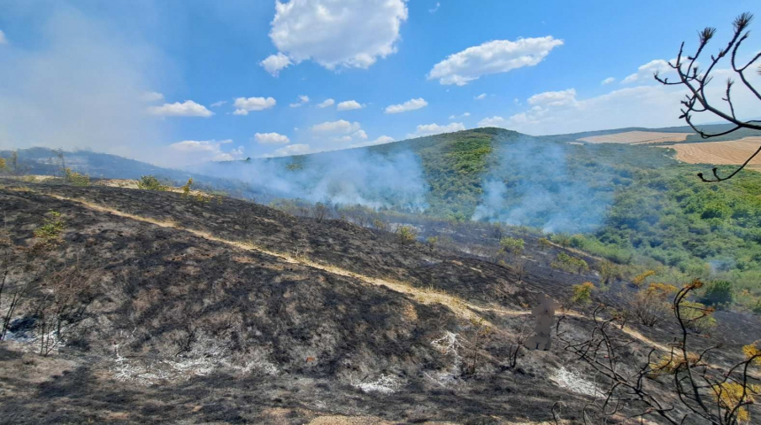 В 99% горските пожари в Централна Северна България са в резултат на човешка дейност