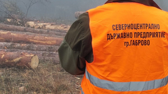622 акта за нарушения по Закона за горите са съставили през 2023 г. служителите на Северноцентралното предприятие в Габрово 
