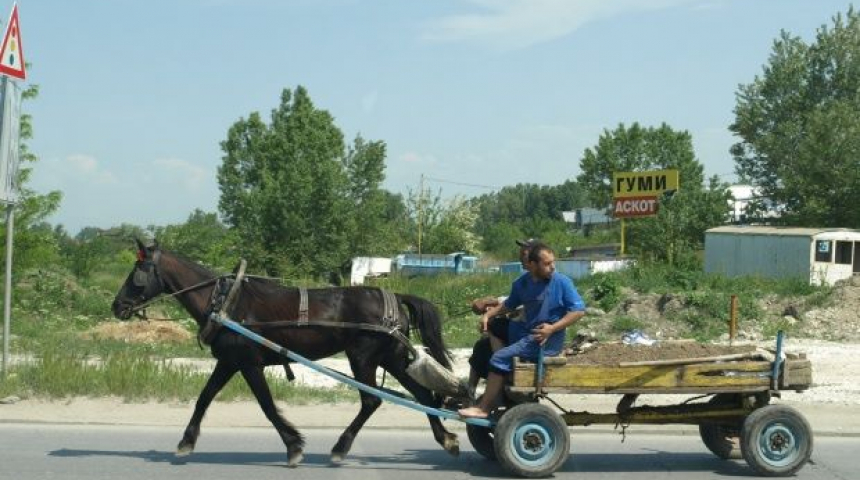 Почина жената, блъсната на пешеходна пътека в Севлиево от кон с каруца 