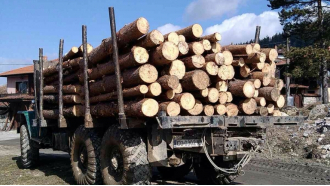 Отнеха разрешителното на частен лесовъд от Севлиево