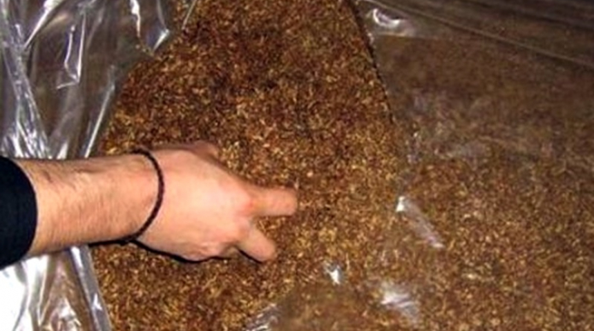 30 кг. тютюн без бандерол иззеха в Севлиево