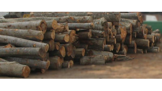 Незаконна дървесина хванаха в "Казамаз" посред бял ден