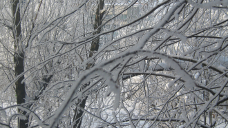 Голям студ и днес в Севлиево - минус 28 градуса