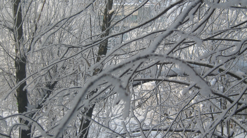 Голям студ и днес в Севлиево - минус 28 градуса