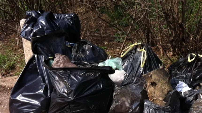 От 8 тона боклуци изчистихме Севлиево на 4 юни