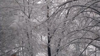 Училища и детски градини в села затварят днес и утре заради снег