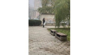Жена изхвърли котета посред бял ден на севлиевския площад и си т